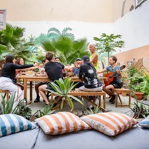 Jungle House Hostal